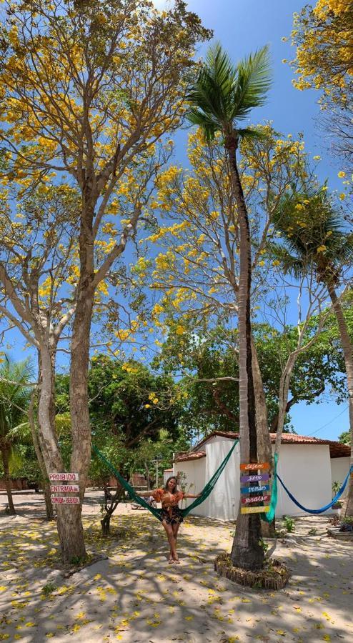 Pousada Paraiso Verao ジジョーカ・デ・ジェリコアコアラ エクステリア 写真